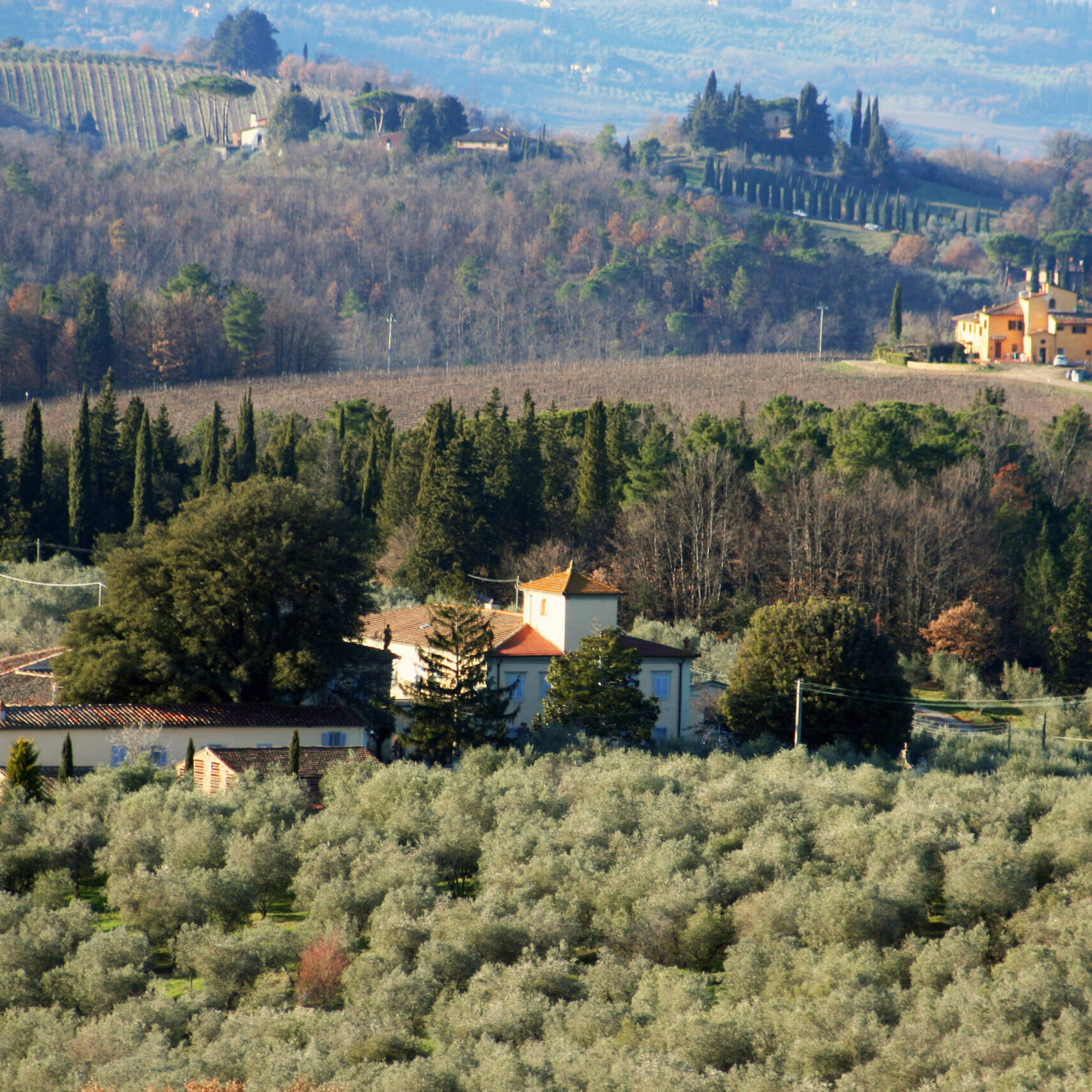 Fattoria Vallacchio veduta d'insieme