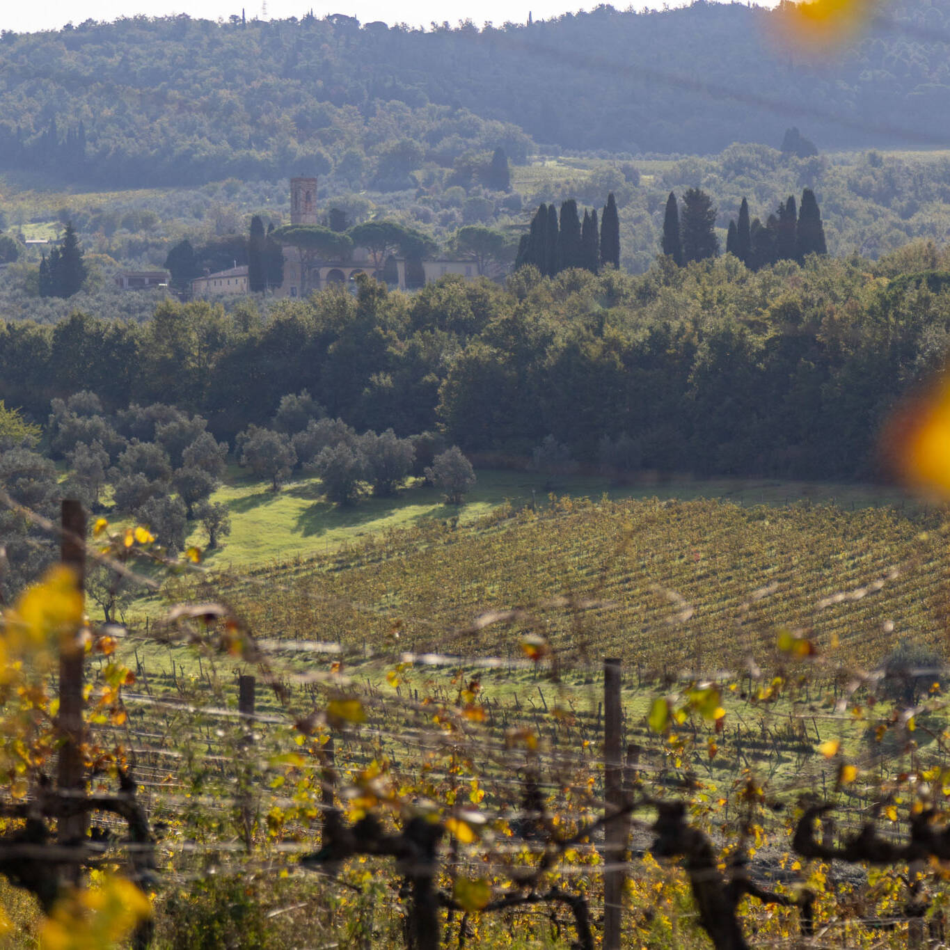 Alta qualità del territorio