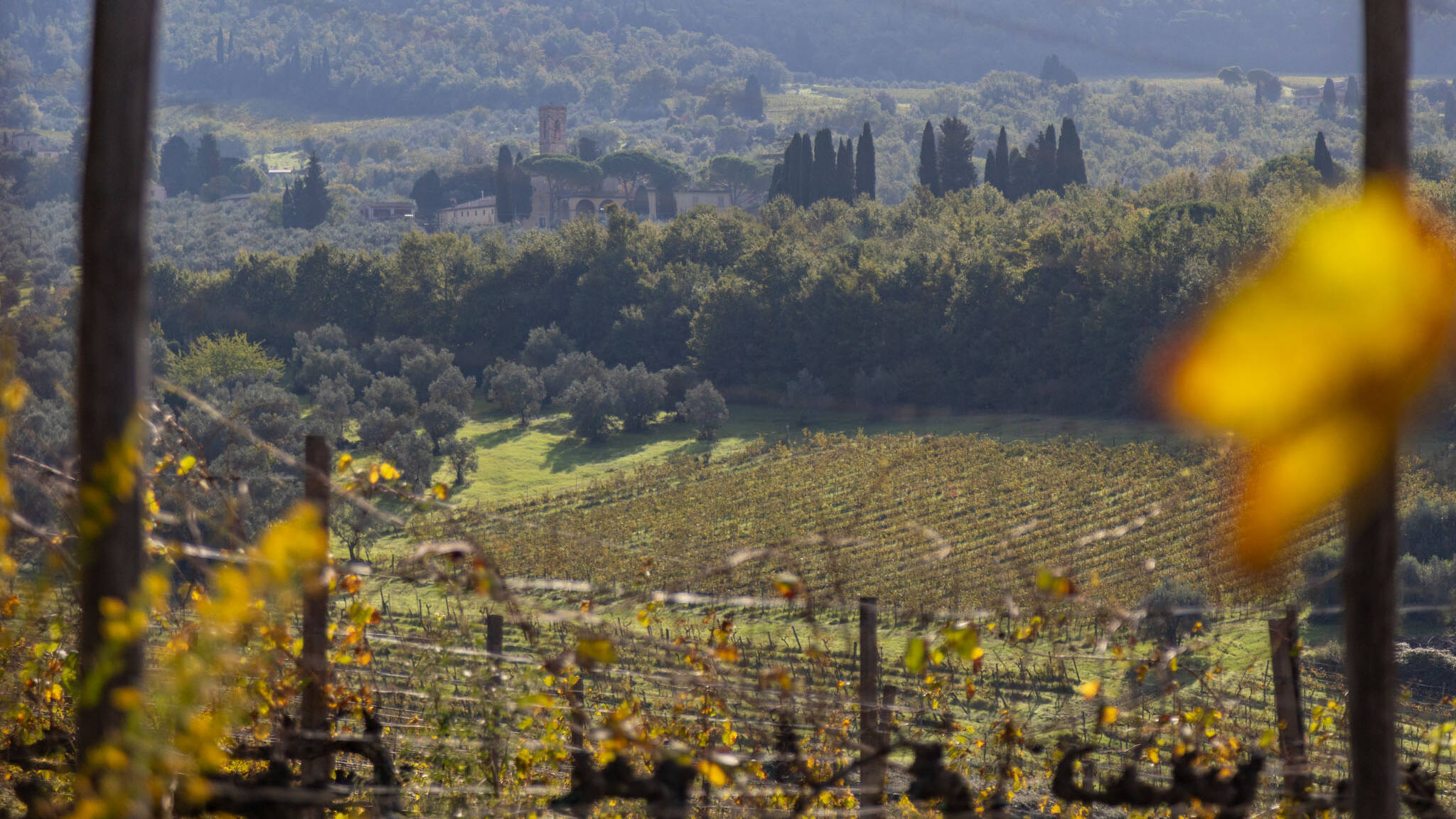 Alta qualità del territorio
